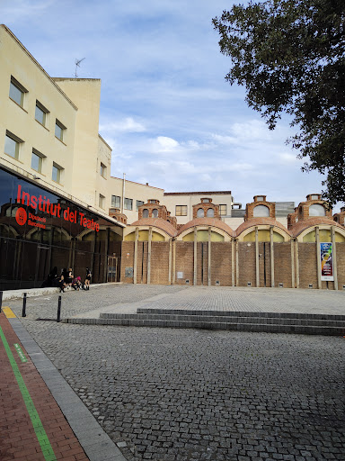 Instituto de Teatro