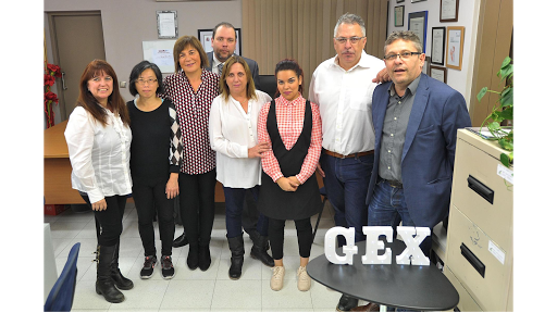 Asesoria Gex